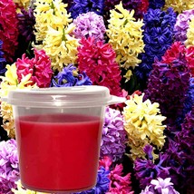 Hyacinth Scented Soy Wax Candle Melts Shot Pots, Vegan, Hand Poured - £12.85 GBP+