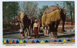 St Louis Zoo Elephant Show Hula Dance Elephants Performing  Postcard 1952 - $10.89