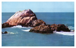 Cliff House at Seal Rocks California Stellar Sea Lions Chrome Postcard Unposted - £3.81 GBP