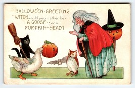 Halloween Postcard Owl Goose  Bat Black Cat Witch Pumpkins Whitney Pumpkin-Head - £42.75 GBP