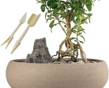 Round Unglazed Ceramic Bonsai Pot With Bamboo Tray From Muzhi Is An 8-In... - $37.93