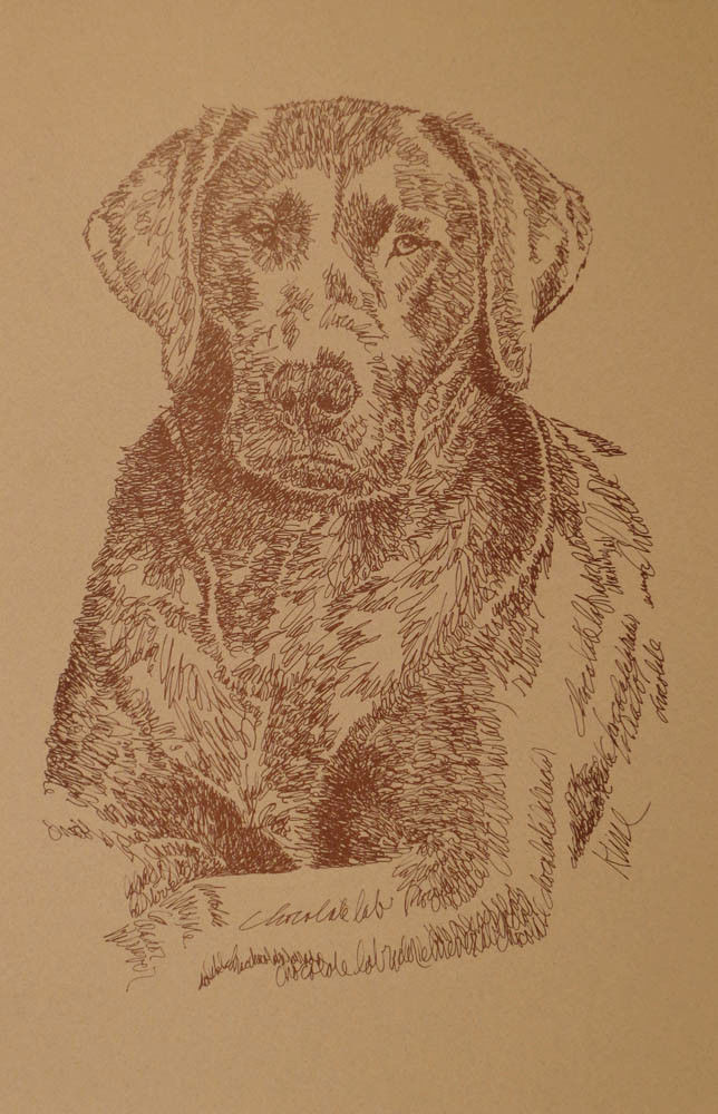 CHOCOLATE LABRADOR RETRIEVER DOG ART PRINT #78 by Kline LAB Dogs name added free