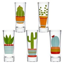 5 Pack Shot Glasses Set With Cactus Designs For Bachelorette Party 2 Oz - £28.76 GBP
