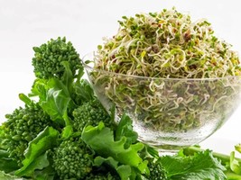 Broccoli Rapini Raab Heirloom Seeds - $8.99