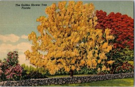 The Golden Shower Tree Florida Postcard - £5.41 GBP
