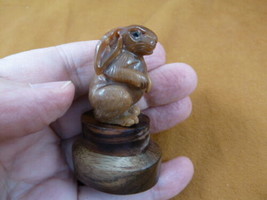 (tb-rab-7) little bunny foo foo Tagua NUT palm figurine Bali carving bab... - $42.77