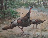 Shenandoah Pride by Bob Hines - First Virginia Wild Turkey Stamp Print, ... - $98.00