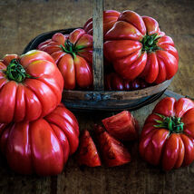 Fresh 10 Mushroom Basket Tomato Seeds  - $7.05 CAD