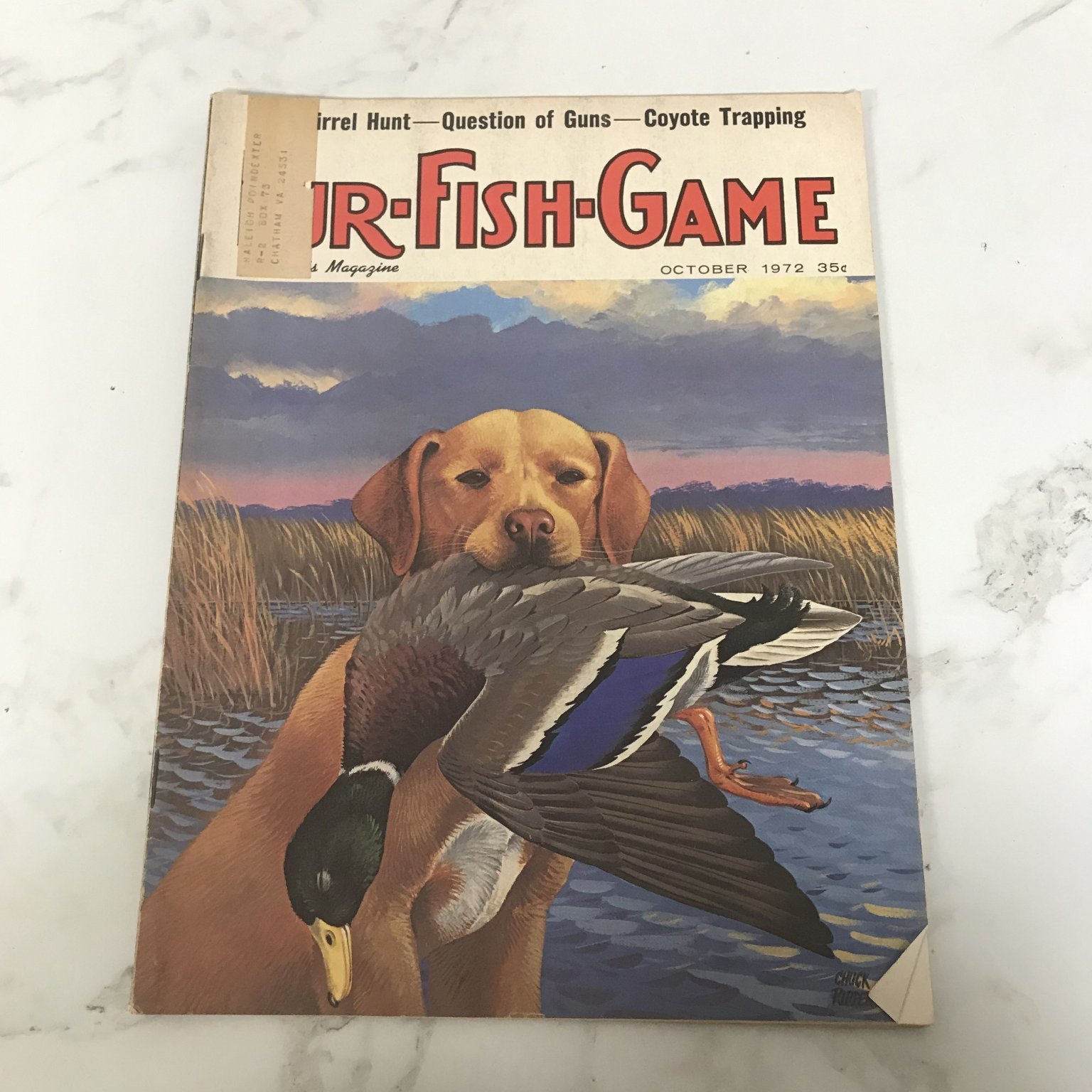 Full-size item image