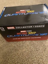 New Funko Pop Ant-Man &amp; The Wasp Quantumania Marvel Collector Corps Box Size L - £31.45 GBP