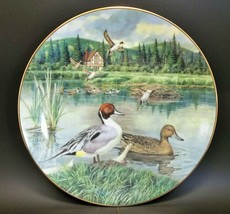 The Wildlife Society Knowles Bart Jerner Game Bird Plate The Pintail - £12.70 GBP