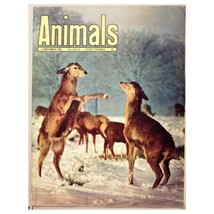 Animals  Magazine 3 December 1963 mbox3527/h Vol.2 No.24 - £3.12 GBP