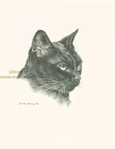 #118 BURMESE CAT black * cat art print * pen &amp; ink drawing by Jan Jellins - $12.50