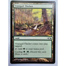 MTG Magic The Gathering Tranquil Thicket Land Card Elves vs Goblins - £5.74 GBP