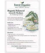 Begonia Balanced Growth Medium  Pre-Sterilized Agar Gel - $33.26