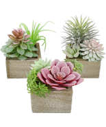 Succulent Plants Artificial, Small Fake Plants in Pots, Mini Artificial ... - €22,24 EUR Succulent Plants Artificial, Small Fake Plants in Pots, Mini Artificial ... - €22,24 EUR