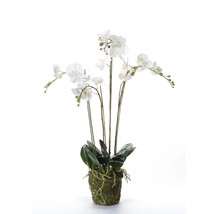 Emerald Artificial Phalaenopsis with Moss White 90 cm 20.355 - £102.45 GBP