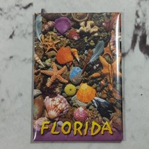 Florida Fridge Magnet Sea Shells Star Fish  Beach Travel Souvenir  - £6.32 GBP