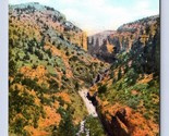 General View Williams Canyon Colorado CO UNP DB Postcard Q1 - $3.02