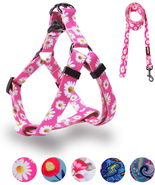 Dog Harness Leash Set Adjustable Heavy Duty No Pull Halter Harnesses for... - $23.52 CAD