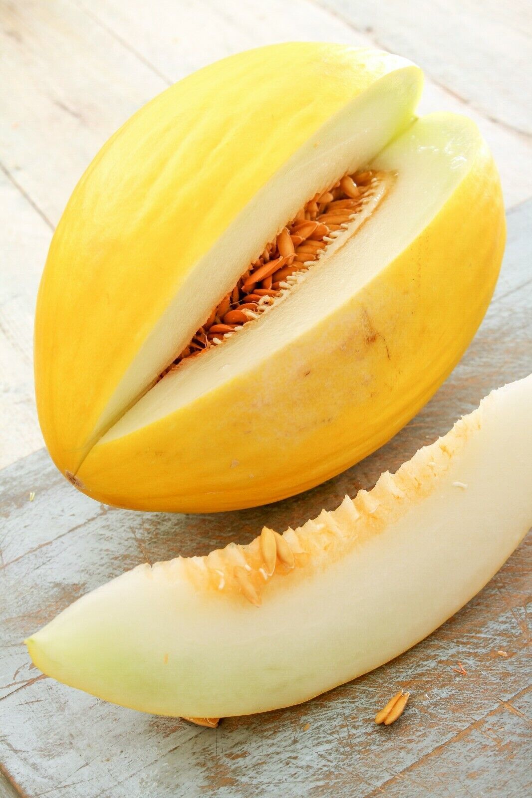 40 Crenshaw Sweet Melon {Cucumis melo} Heirloom Perennial seeds  - $6.89