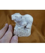 (BEAV-W9) Large beaver shed moose ANTLER figurine Bali detailed figurine - $3,998.28 MXN