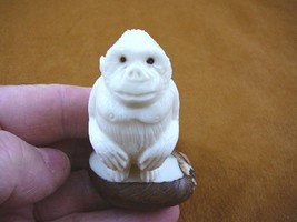 (tne-ape-go-223b) white Gorilla monkey ape TAGUA NUT palm nuts figurine ... - £22.06 GBP