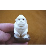 (tne-ape-go-223b) white Gorilla monkey ape TAGUA NUT palm nuts figurine ... - $524.91 MXN