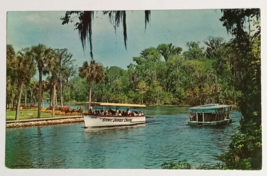Jungle Cruise Silver Springs Boat Palms Florida Colourpicture Postcard c1960s - £3.97 GBP