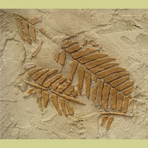 Stencil Prehistoric Fern Fossils - DIY Raised Plaster stenciling - £11.95 GBP