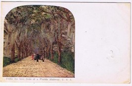 Florida Postcard Under Live Oaks Of A Florida Highway 1908 - £2.75 GBP