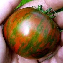 USA SELLER New Black Zebra cherry tomato 15 seeds showy fruit rich flavor vigoro - £8.94 GBP