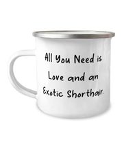 Beautiful Exotic Shorthair Cat 12oz Camper Mug, All You Need is Love and an Exot - £15.62 GBP