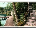 Walk Around Saco Lake White Mountains NH UNP Detroit Publishing DB Postc... - $4.90