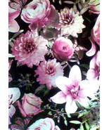 Utopia Midnight Rose Wallpaper - £20.93 GBP