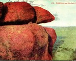 Rabbit Rock Near Dale Creek Wyoming WY 1908 UDB Postcard T12 - $8.86