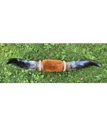 Vintage Mounted Steer Cow Bull Longhorn Taxidermy Velvet Horns 20.5&quot; Tip... - £103.33 GBP