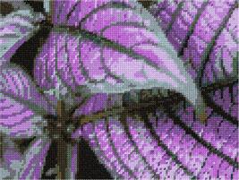 Pepita Needlepoint Canvas: Purple Leaves, 9&quot; x 7&quot; - $50.00+