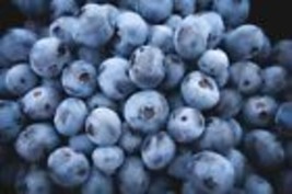 Highbush Blueberry 100  Seeds - £9.42 GBP