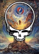 Grateful Dead METAL PRINT  12X8IN INCHES SUBLIMATION PORTRAIT SIGN BEARS 65 - €21,39 EUR