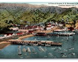 SS Hermossa Avalon Harbor Santa Catalina Island CA 1916 DB Postcard W4 - $3.91