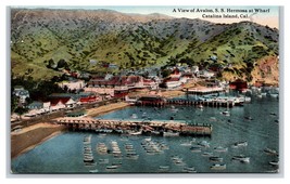 SS Hermossa Avalon Harbor Santa Catalina Island CA 1916 DB Postcard W4 - £3.09 GBP