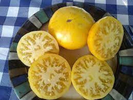 50 Seeds Basinga Tomato Juicy Vegetable Edible Beautiful Garden Fresh USA Garden - $12.49