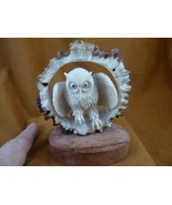 (OWL-W37) perched white gray Horned Owl shed ANTLER figurine Bali detail... - $3,763.47 MXN