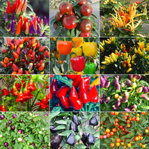 Ornamental Chili Pepper Seeds in Assorted Colors - £7.83 GBP