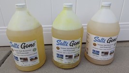 3 x Salts Gone Instant Salt Remover And Protectant - Super Concentrate 1... - $125.46 CAD