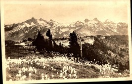 Vintage Azo Rppc -Tatoosh Range From Paradise Valley Rainier WASHINGTON-BK42 - £5.47 GBP