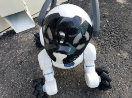Item image 3