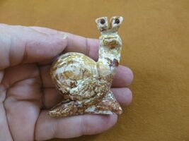 (y-SNAI-411) gray red racer Snail gastropod GEM STONE carving SOAPSTONE ... - $16.37