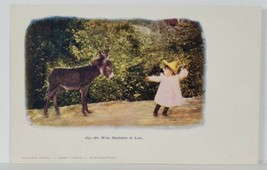 Little Girl Pulling Donkey, He Who Hesitates is Lost Postcard R16 - £3.90 GBP